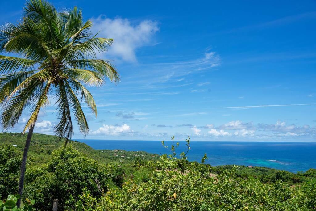 Vila Domaine Des Tourterelles Capesterre Exteriér fotografie