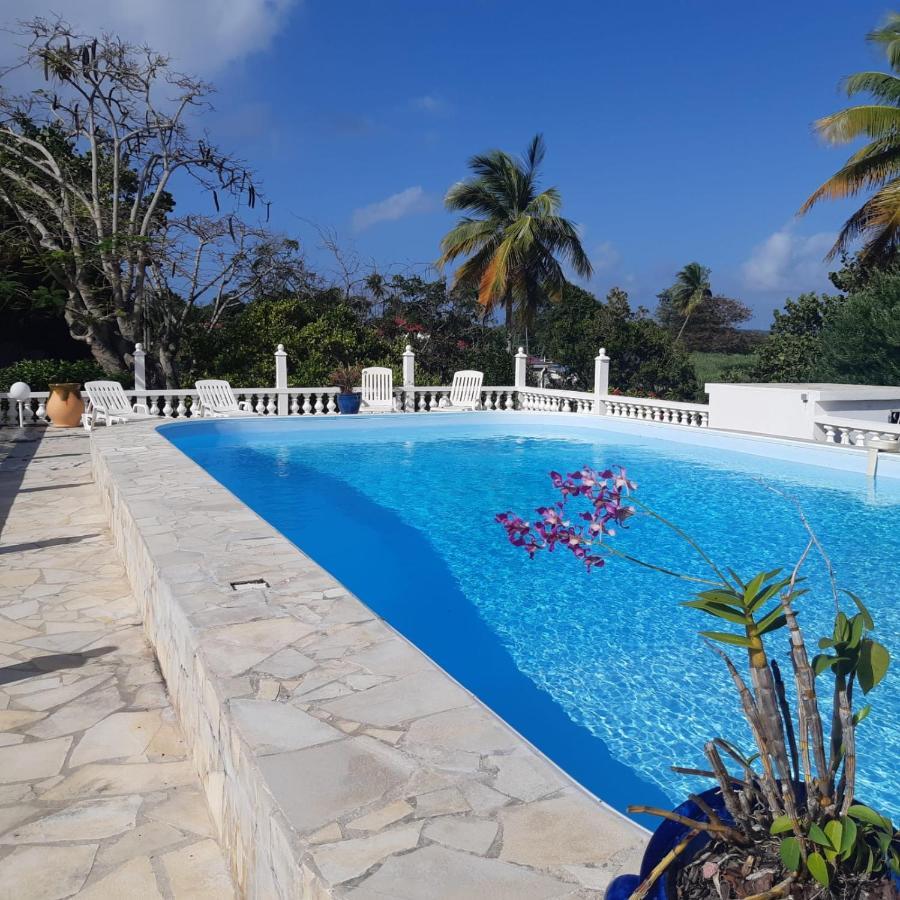 Vila Domaine Des Tourterelles Capesterre Exteriér fotografie
