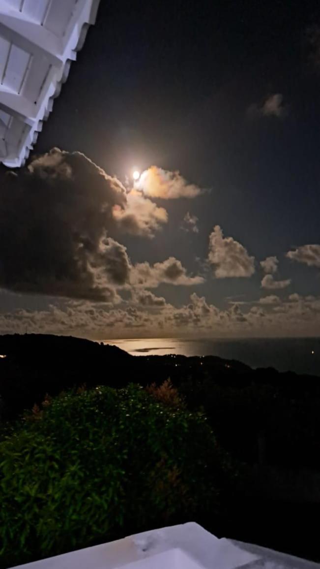 Vila Domaine Des Tourterelles Capesterre Exteriér fotografie